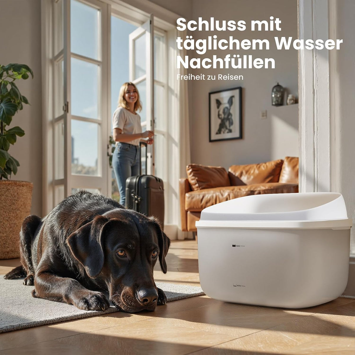 Fontaine à eau pour chat et chien, double dôme 3,78 L