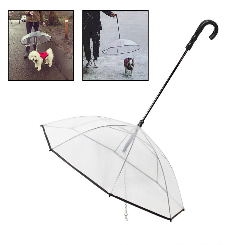 Parapluie transparent pour chien avec attache laisse